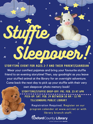 TIL-Stuffie Sleepove